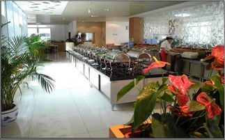 北京實心實意餐飲管理圖冊 提升餐飲運(yùn)營的藝術(shù)與科學(xué)